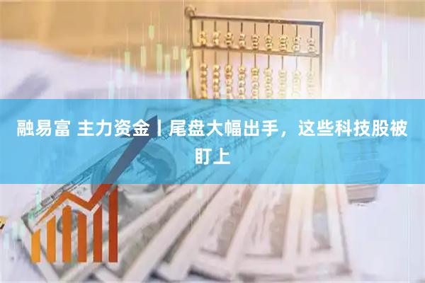 融易富 主力资金丨尾盘大幅出手，这些科技股被盯上